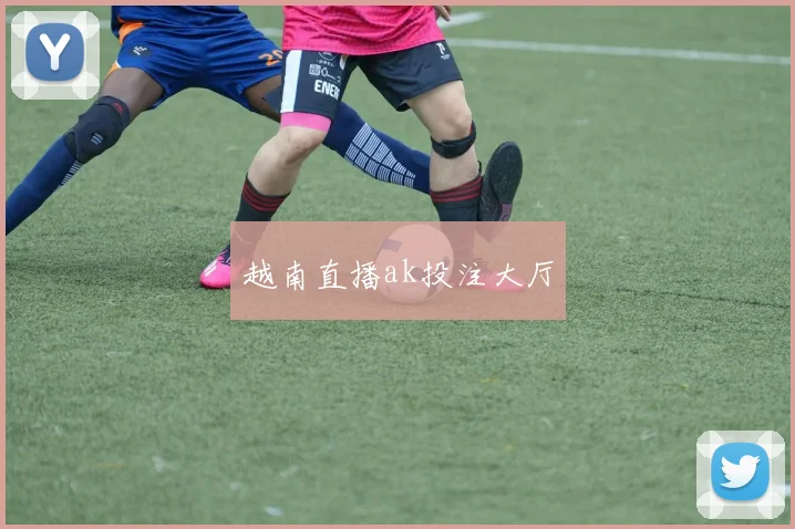 越南直播ak投注大厅