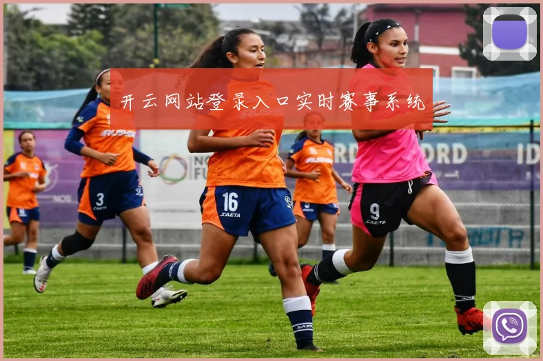开云网站登录入口实时赛事系统