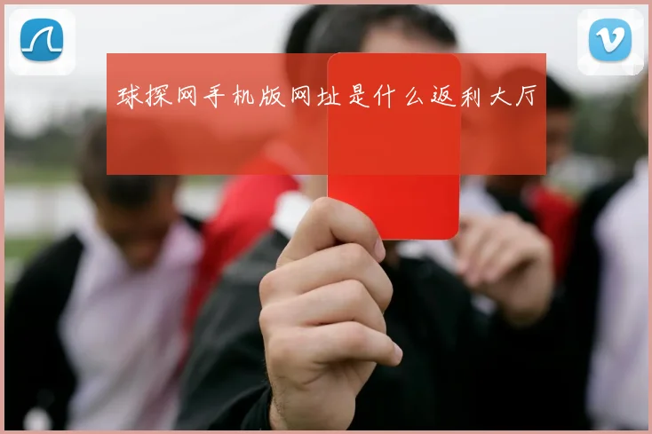 球探网手机版网址是什么返利大厅