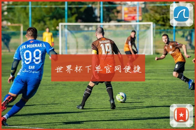 世界杯下单官网便捷