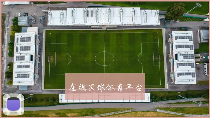 在线买球体育平台