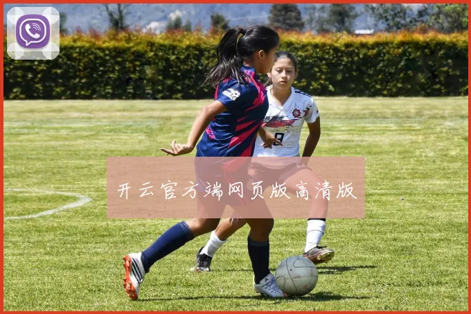 开云官方端网页版高清版
