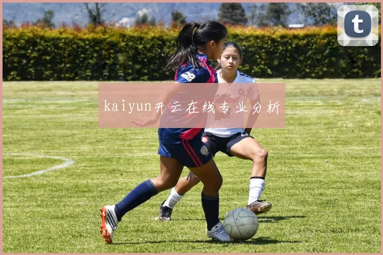 kaiyun开云在线专业分析